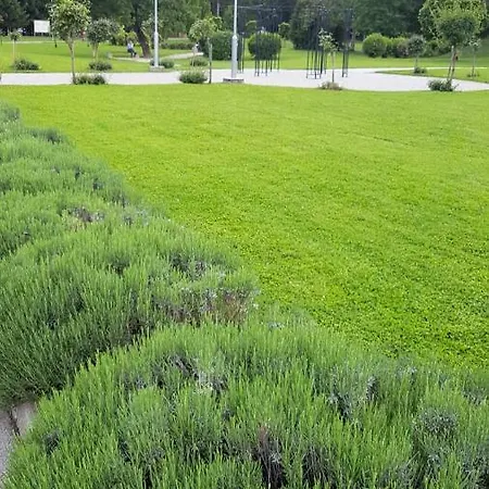 Garni Zvon